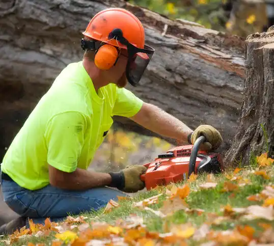 tree services Newfield Hamlet